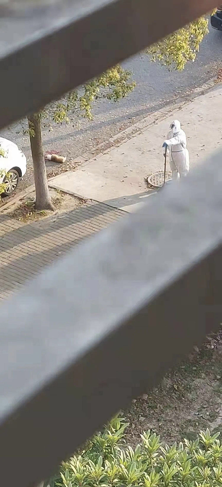 事件照片